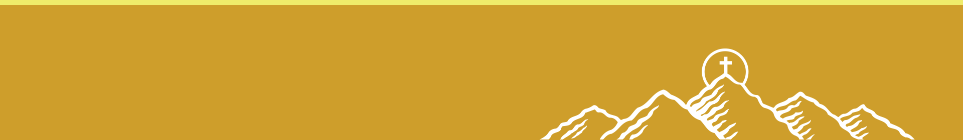 &nbsp;